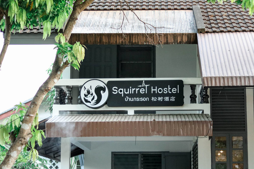 Squirrel Hostel Csiangmaj Kültér fotó